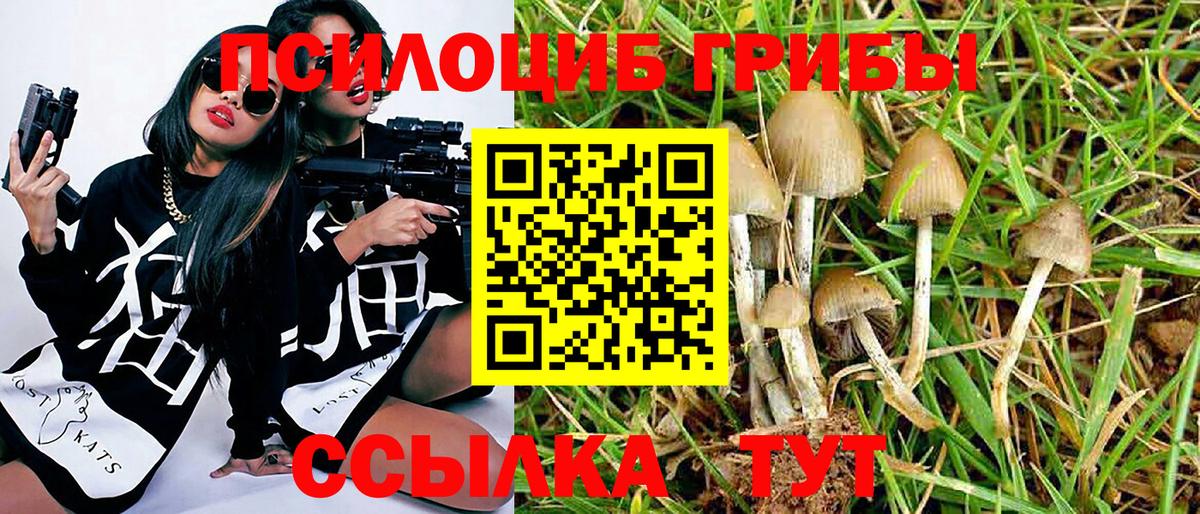 Петрозаводск  Галлюциногенные грибы GOLDEN TEACHER  Вход с VPN 
