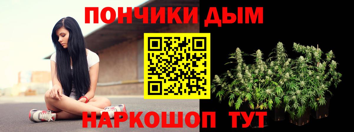 Каннабис ГИДРОПОН  Бошки марихуана LSD WEED  Петрозаводск  Вход с VPN  Каннабис тримм 
